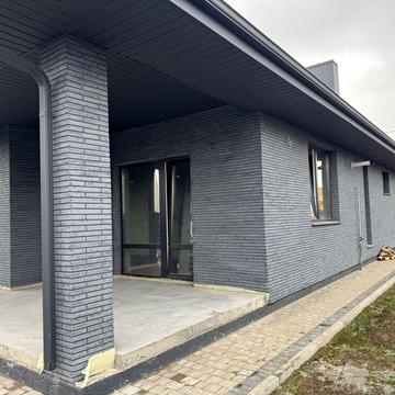 Абрикосова