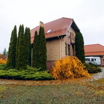 Виноградний пров.