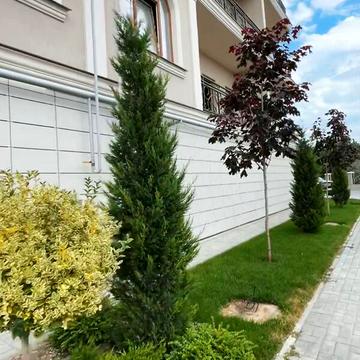 Продаж 1к Квартира Дача Ковалевського вулиця ЖК Avinion