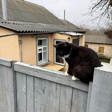 Частина будинку, район 8 школи