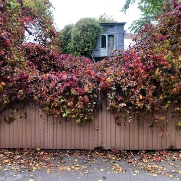 Новгородська вул., 28