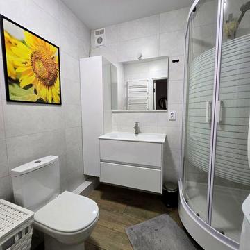 1 кімнатна, Ремонт, меблі, індивідуальне газове опалення