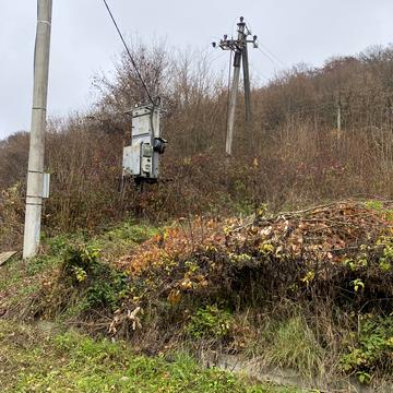 Барвінкова