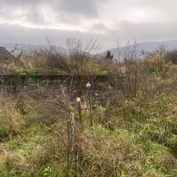 Зарічово, Ужгородський, Закарпатська область 12000.0 USD