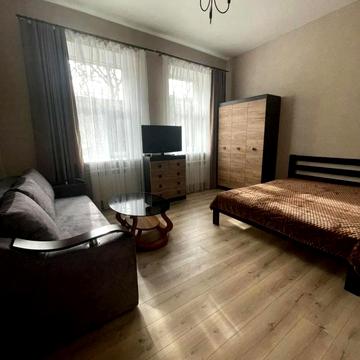 Святослава Караванського вул. (Жуковського), 17