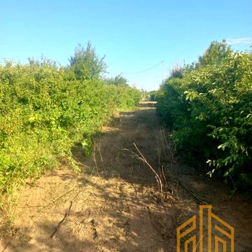 Корвалійська