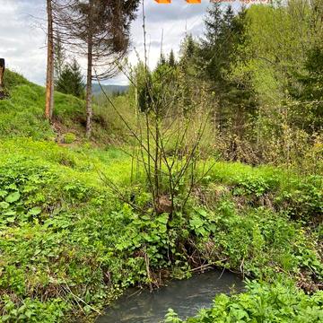 Микуличин, Надвірнянський, Івано-Франківська область 82700.0 USD