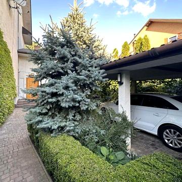 Центральна вул.