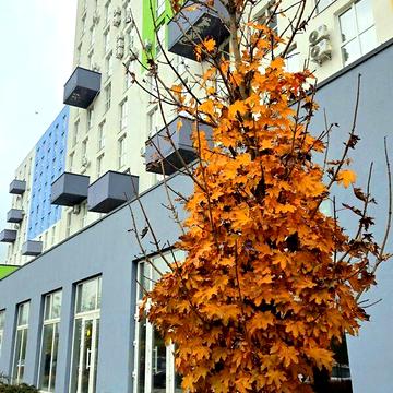 Продаж 1к Квартира Рудненська вулиця ЖК Riel City