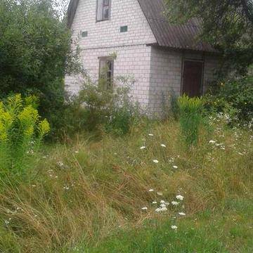 будинок із приватизованою земельною ділянкою