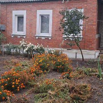 Продам добротний господарський будинок, пгт. Новопокровка