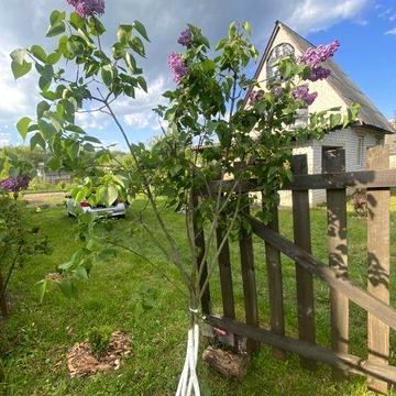Дача Кролевецький район(траса)