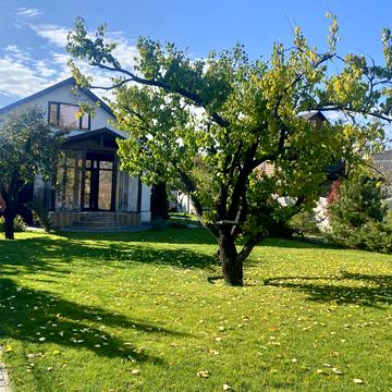 Центральна