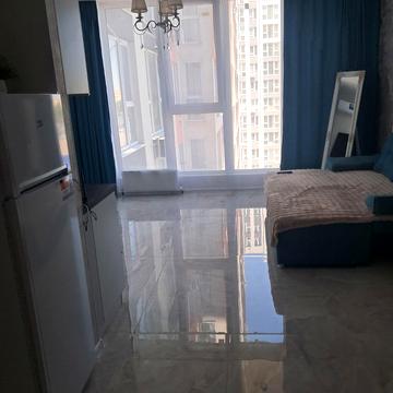 Академіка Вільямса вул., 95