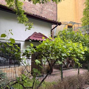 Оренда 2 к кв в будиночку, центр Львова , 600 дол