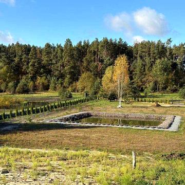 ₴ Продаю будинок в Олександрії з неймовірним краєвидом