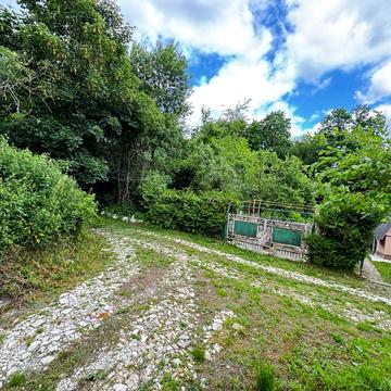 Центральна