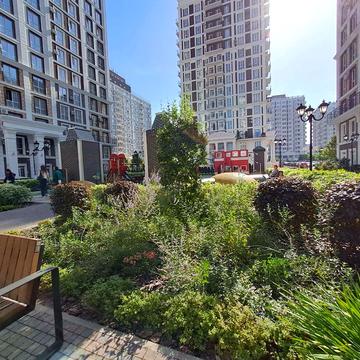 Михайла Максимовича вул. (Онуфрія Трутенка), 26Д