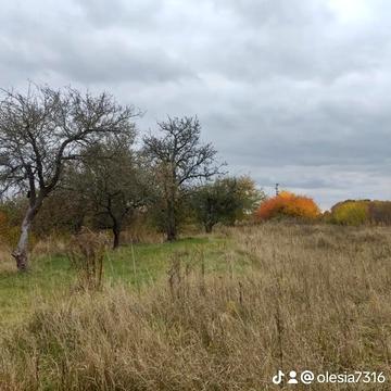 Незалежності, 2