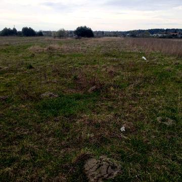 Лісова вул.