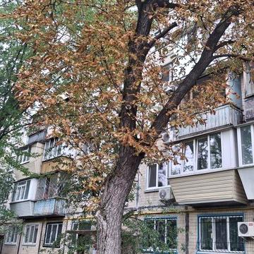 Продамо 2 кімнатну. ВОСКРЕСЕНКА.