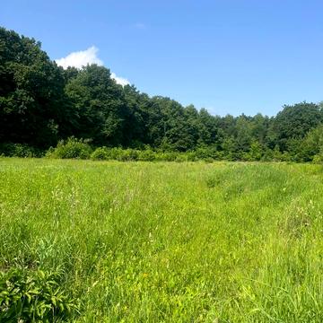 Петрик, Вінницький, Вінницька область 20000.0 USD