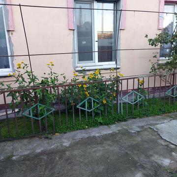 1-й Парниковий пров.