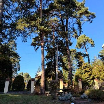 Продаж будинку у Брюховичах поблизу соснового лісу і озер