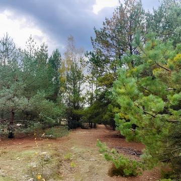 Катюжанка, Вишгородський, Київська область 4000.0 USD