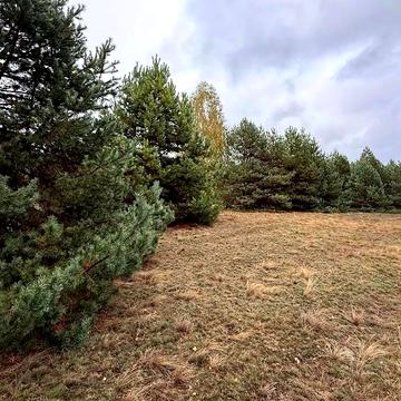 Катюжанка, Вишгородський, Київська область 4000.0 USD
