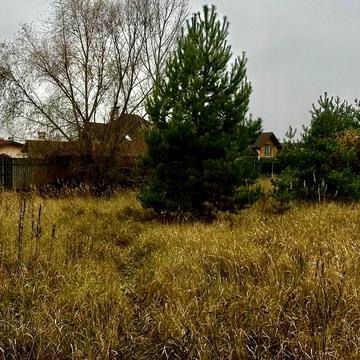 Петрушки, Бучанський, Київська область 45000.0 USD