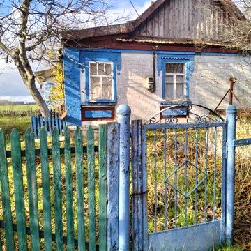 Продам хату в Реєвій