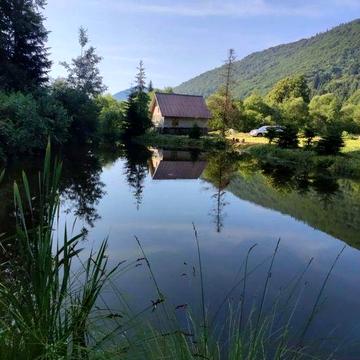 Продам будинок,в карпатах з озером,лісом навколо природа)