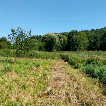 Лишня, Фастівський, Київська область 31000.0 USD