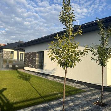 Продам будинок Великий Кучурів