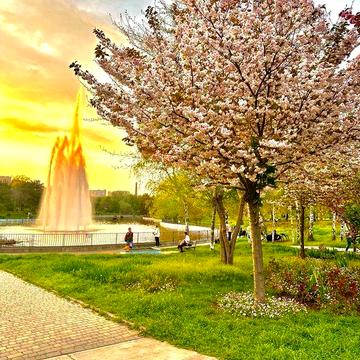 1 к квартира 40м2 Кирпич Котел Рассрочка 4 года! Говорова Парк Победы