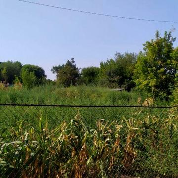 Продам . СВІЙ. Дім з ділянкою 49 соток