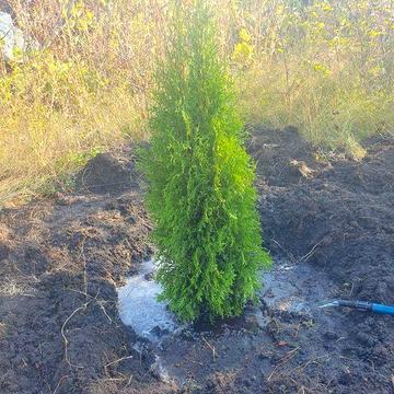 Продам дачу Садовое товарищество "Электрон"