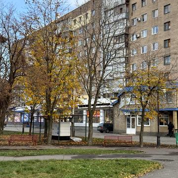 Гімназійна набережна вул. (Червоношкільна набережна), 26