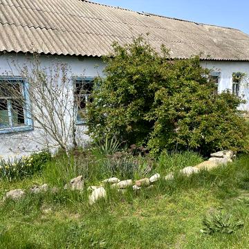 Продам будинок в селі