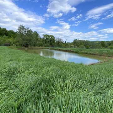 Пантівська