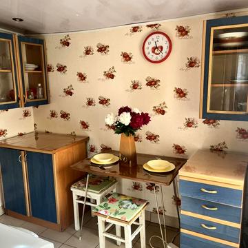 Всеволода Змієнка пров. (Бабушкіна)