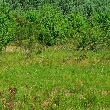 квітнева, 217