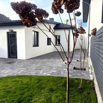 Здам ч.Будинку в центрі міста