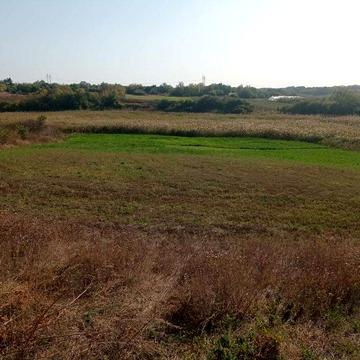 Продається садиба, хата, будинок.