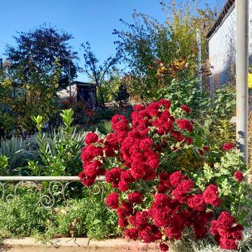 Полдома,отдельный двор,район 1 Линии