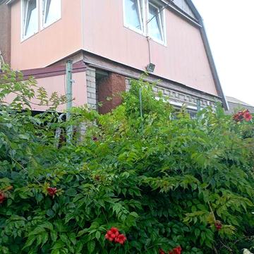 Сдам дачу со всеми удобствами на берегу Днепра (сдана по 15 декабря)