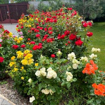 Продам дом в Подгорном