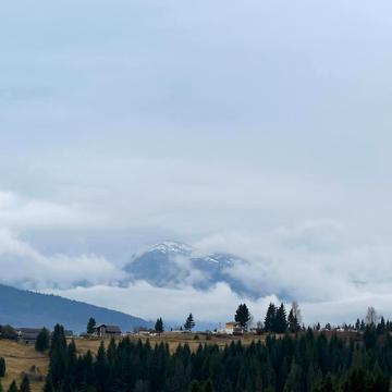 Яблуниця, Надвірнянський, Івано-Франківська область 850000.0 USD