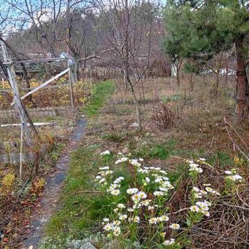 Продам ділянку на Шведівці з двоповерховий будинком